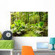 Tropical rain forest in Mahe Island, Seychelles Wall Decal