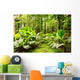 Tropical rain forest in Mahe Island, Seychelles Wall Decal