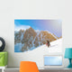 Winter alpine trekking Wall Decal