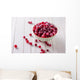 Frozen cranberry Wall Decal