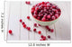 Frozen cranberry Wall Decal