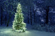 Christmas Tree in Snow Wall Decal