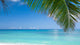 Tropical beach Wall Decal