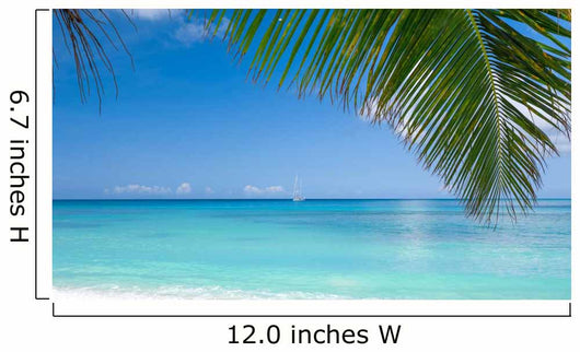 Tropical beach Wall Decal