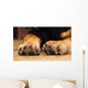 Dogs paws Wall Decal