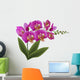 Pink Orchid with Green Wall Decal