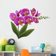 Pink Orchid with Green Wall Decal
