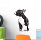 Curious puppy Wall Decal