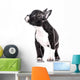 Curious puppy Wall Decal