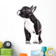 Curious puppy Wall Decal