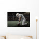Football Player Wall Decal