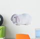 White Rabbit White Wall Decal