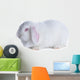 White Rabbit White Wall Decal