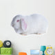 White Rabbit White Wall Decal