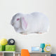White Rabbit White Wall Decal