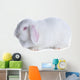 White Rabbit White Wall Decal