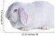 White Rabbit White Wall Decal