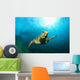 Hawksbill Sea Turtle Wall Decal
