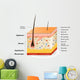 Different Cell Types Populating Wall Decal