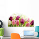 Tulips Wall Decal