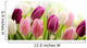 Tulips Wall Decal
