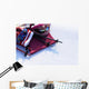 Ski and snow background Wall Decal