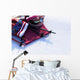 Ski and snow background Wall Decal
