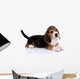 Beagle puppy Wall Decal