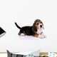 Beagle puppy Wall Decal