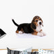 Beagle puppy Wall Decal