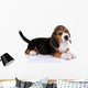 Beagle puppy Wall Decal