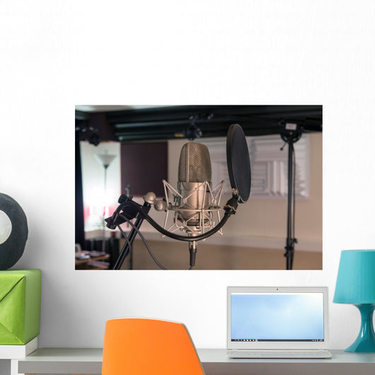 professional microphone in a recording studio Wall Decal