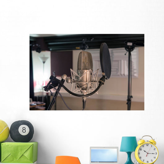 professional microphone in a recording studio Wall Decal