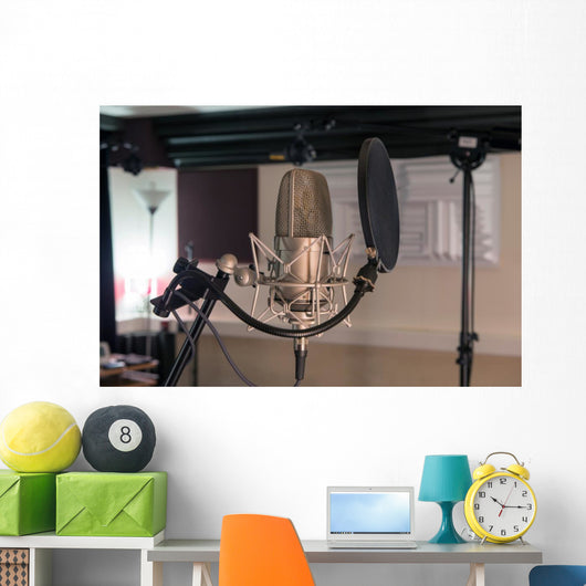 professional microphone in a recording studio Wall Decal