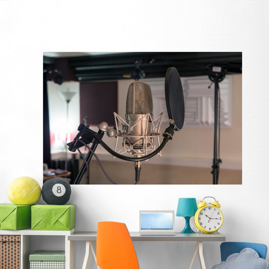 professional microphone in a recording studio Wall Decal
