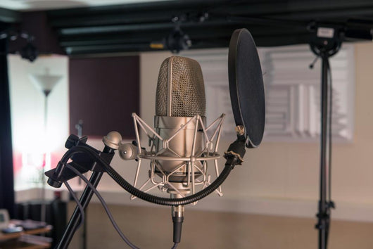 professional microphone in a recording studio Wall Decal