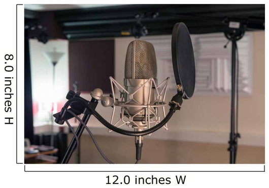 professional microphone in a recording studio Wall Decal