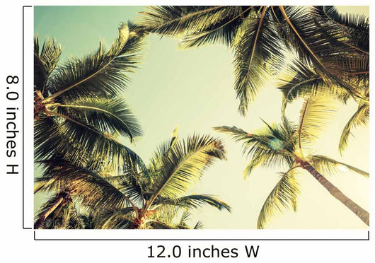 Coconut palm trees and shining sun over bright sky Wall Decal