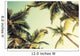 Coconut palm trees and shining sun over bright sky Wall Decal