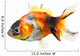 Gold Fish White Wall Decal