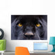 The Eyes of a  Black Panther Wall Decal