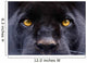 The Eyes of a  Black Panther Wall Decal