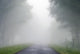 Foggy road Wall Decal
