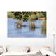 Elefantenfamilie durchquert Flu&szlig; Kr&uuml;ger Nationalpark S&uuml;dafrika Wall Decal