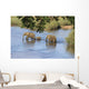 Elefantenfamilie durchquert Flu&szlig; Kr&uuml;ger Nationalpark S&uuml;dafrika Wall Decal
