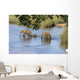 Elefantenfamilie durchquert Flu&szlig; Kr&uuml;ger Nationalpark S&uuml;dafrika Wall Decal