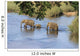 Elefantenfamilie durchquert Flu&szlig; Kr&uuml;ger Nationalpark S&uuml;dafrika Wall Decal