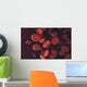 Red Blood Cells Wall Decal
