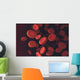 Red Blood Cells Wall Decal