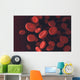 Red Blood Cells Wall Decal